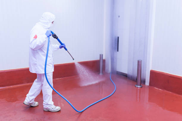 Trusted Bayou Vista, TX Pressure Washing Experts
